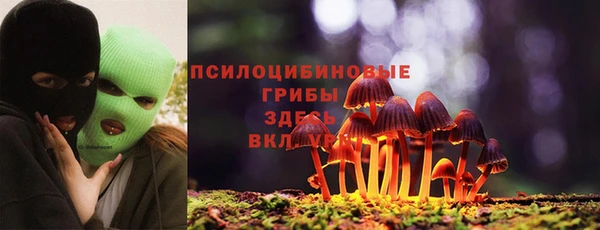 спайс Алексин