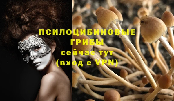 МДПВ Алексеевка