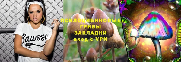 спайс Алексин