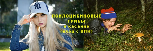 спайс Алексин