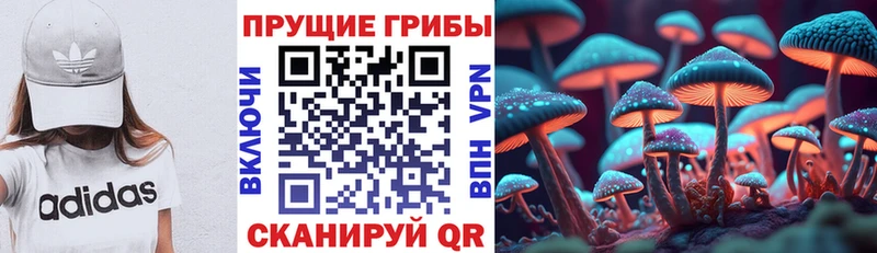darknet Telegram  Краснообск  Галлюциногенные грибы мухоморы  где можно купить наркотик 